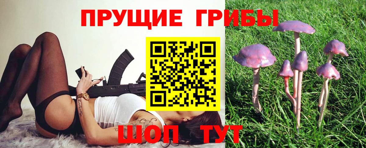 Калач-на-Дону  Галлюциногенные грибы Magic Shrooms  Вход с VPN  Псилоцибиновые грибы Psilocybine cubensis 